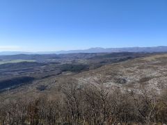 DSCN9637