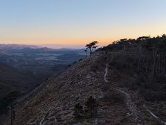 DSCN9676