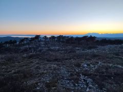 DSCN9678 2