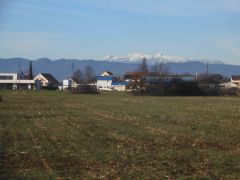 DSCN0536