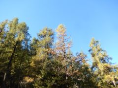 DSCN8813 800kb