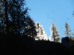 DSCN8816 800kb