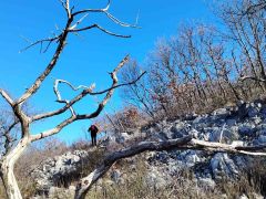 viber slika 2026 01 31 19 41 38 532