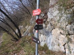 DSCN0740
