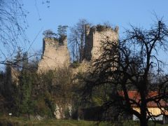 DSCN0781