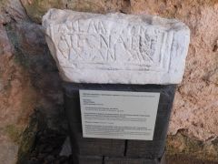 DSCN0800