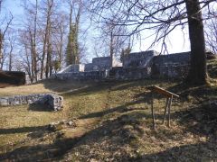 DSCN0803