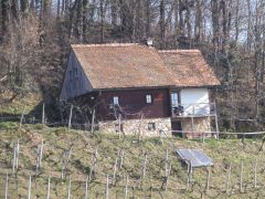 DSCN0824