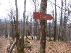 DSCN0958
