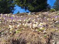 viber slika 2026 04 06 22 48 42 357