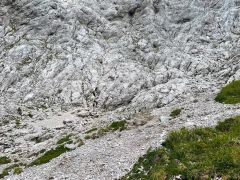 IMG 20260825 WA0001 800kb