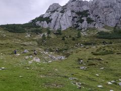 IMG 20260905 090145 800kb